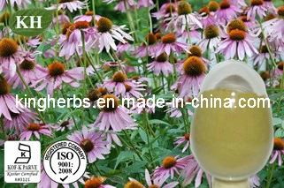 Echinacea Purpurea Extract Polyphenols Cichoric Acid