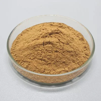 100% New High Quality Cistanche Extract Powder/ Cistanche Tubulosa Deserticola Extract Powder Factory Wholesale