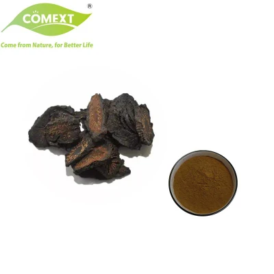 Comext Free Sample Factory Direct 1%~ 45% Echinacoside HPLC Cistanche Tubulosa Extract Powder for Health Food