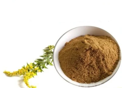 E. K Herb Factory Health Products Anti-Bacterial Plant Extract Goldenrod Extract Powder 10: 1 Goldenrod Extract