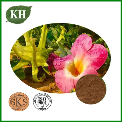 Devil&prime; S Claw Extract 5% Harpagosides
