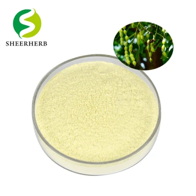 Hight Quality Galanga Extract 98% Genistein Kaempferol Powder