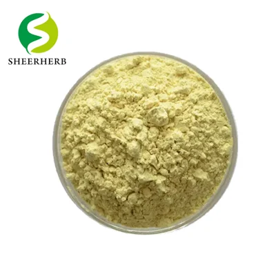 Hight Quality Galanga Extract 98% Genistein Kaempferol Powder