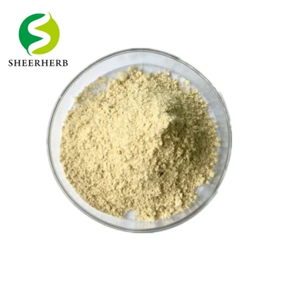 Hight Quality Galanga Extract 98% Genistein Kaempferol Powder