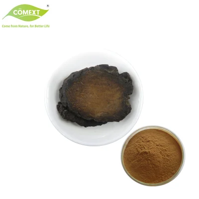 Free Sample Plant Extract Verbascoside Echinacoside Cistanche Tubulosa Extract