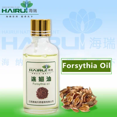 Hot Sale Weeping Forsythia Oil 100% Pure Natural Weeping Forsythia Oil
