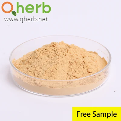 Prepared Rehmannia Root Extract