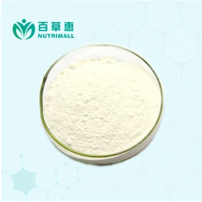 Free Sample Galangal Extract Galangin Powder
