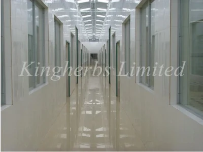 CAS No: 487-41-2 Weeping Forsythia Extract/Forsythin Phillyrin