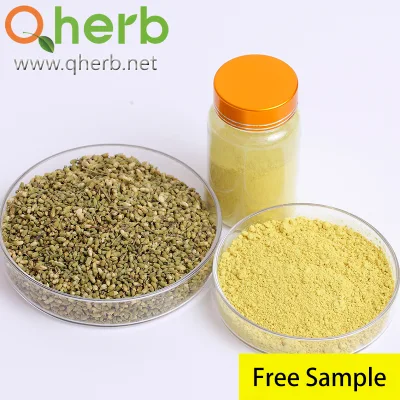 Herbal Extract 95% HPLC CAS 117-39-5 Quercetin Dihydrate