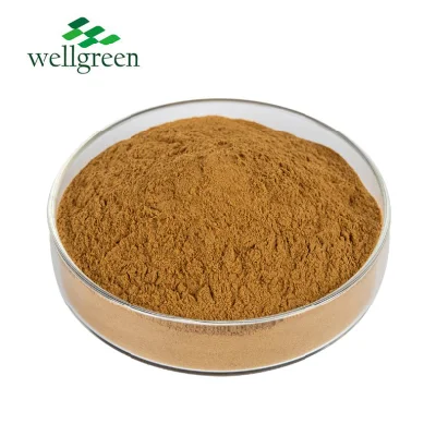 Top Quality Total Flavones Passion Flower Extract Passiflora Extract