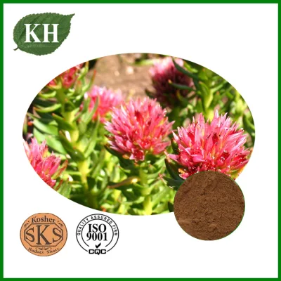 Rhodiola Rosea Extract, Salidroside Powder, Rhodiola Rosea Extract Salidroside Rosavin