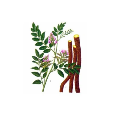 Factory Supply Natural Glycyrrhetinic Acid Enoxolone 98% 18 Beta-Glycyrrhetinic Acid CAS: 471-53-4