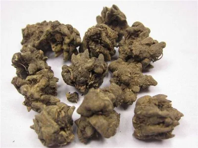 Factory Supply Cat Claw Extract Natural Alkaloids Powder Best Price Fast Shipping