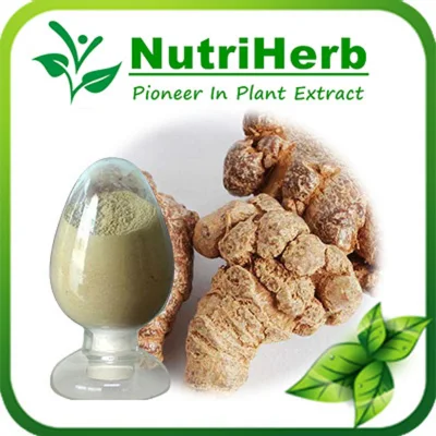 Free Sample Sanchinoside Saponins Sanchi Panax Notoginseng Root Extract
