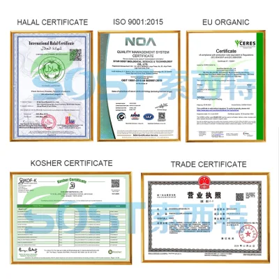 Xi`an SOST Supply Best Price Dendrobine Dendrobium Orchid Extract Powder