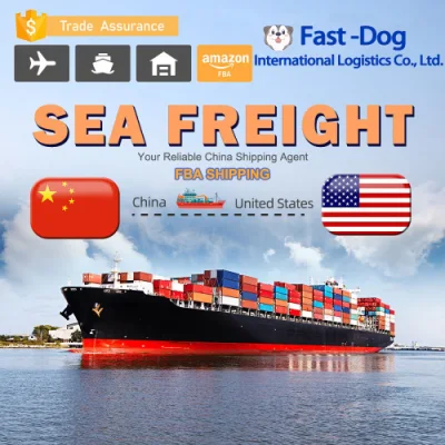 Drop Shipping Cheapest FCL LCL Cargo Shipment by Cargo Shipping China to Philippines Brunei Afghanistan Kabul UAE