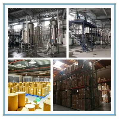 Factory Supply 98% Galangin Powder