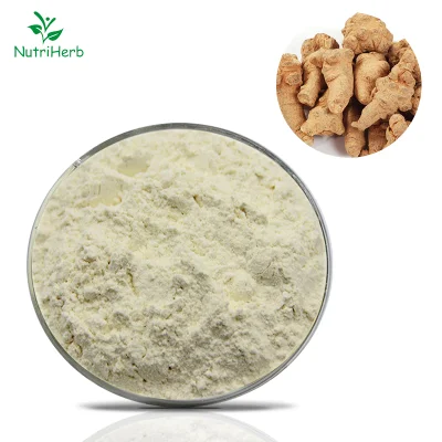 Free Sample Sanchinoside Saponins Sanchi Panax Notoginseng Root Extract