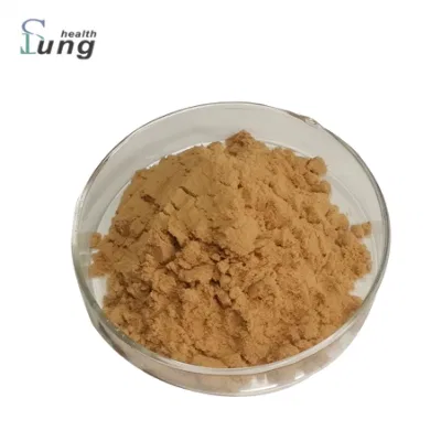 Natural CAS 83207-58-3 Astragaloside Astragalus Extract Astragaloside IV Anti-Aging Astragaloside