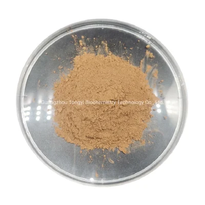 Manufacturer Supply High Quality CAS 2115-91-5 Dendrobine