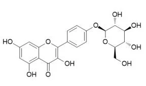 ISO Certified Reference Material &nbsp;98% &nbsp;Kaempferol-4&prime;-Glucoside 52222-74-9 Standard Reagent