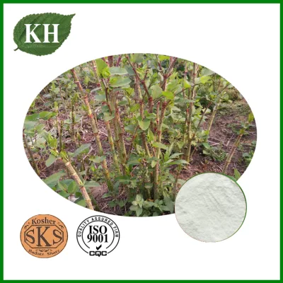 High Standard 98% Resveratrol Polygonum Cuspidatum Extract