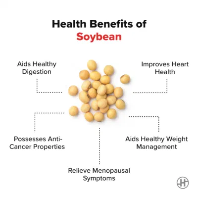 Vegan Nutritional Supplement Natural Soybean Extract with Soy Isoflavones/ Lecithin / Phosphatidylcholine Powder