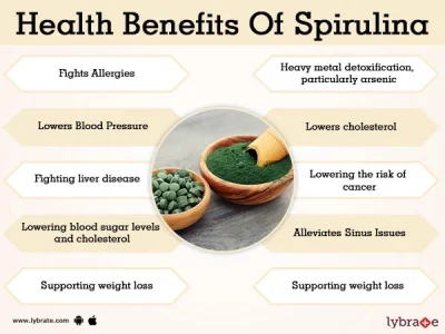 Vegan Nutritional Supplement Natural Soybean Extract with Soy Isoflavones/ Lecithin / Phosphatidylcholine Powder