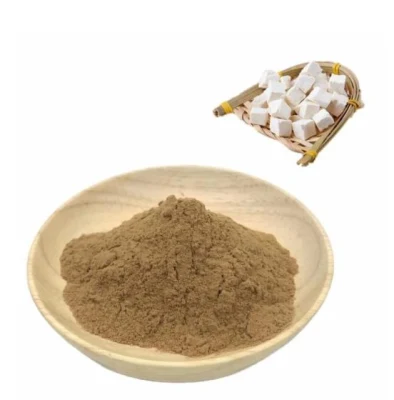 High Quality Polysaccharide Poria Cocos Powder Poria Cocos Extract
