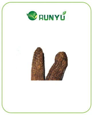 Cistanche Deserticola Extract Verbascoside Powder
