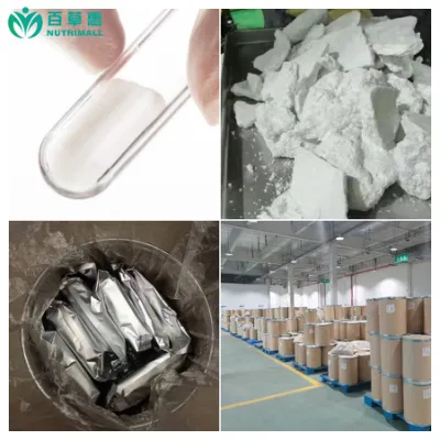 Free Sample CAS 158932-33-3 Secoisolariciresinol Diglucoside Powder