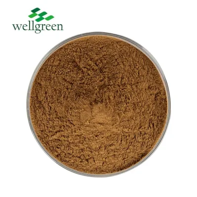 China Supply 40% Cistanche Deserticola Extract Powder Echinacoside