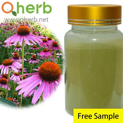 Caftaric Acid Chicoric Acid Chlorogenic Acid Dodecatetraenoic Acidisobutylamides 4% Polyphenols HPLC Echinacea Purpurea Extract