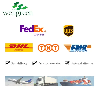 Herbal Factory Direct Bulk Kudzu Root Radix Extract Pueraria Mirifica Powder Pueraria Flavones