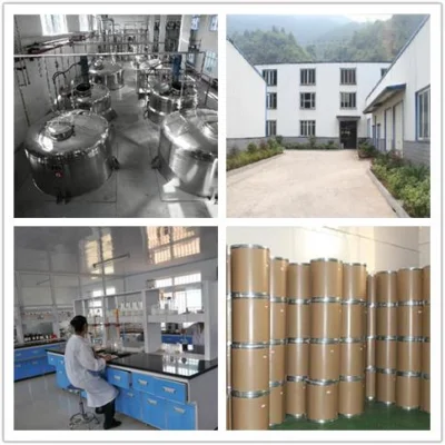 Natural High Purity Bulk 98%/99% Cycloastragenol