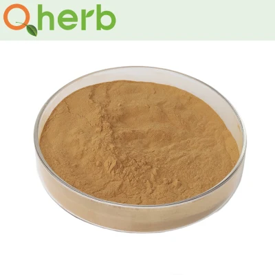 2% Forsythin Forsythia Extract