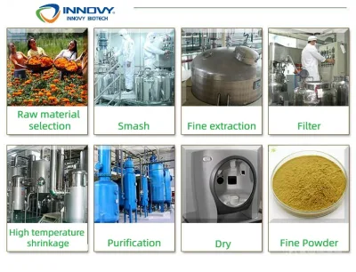 High Quality Best Price Astragaloside IV 98% Astragalus Membranaceus Extract Food Additive
