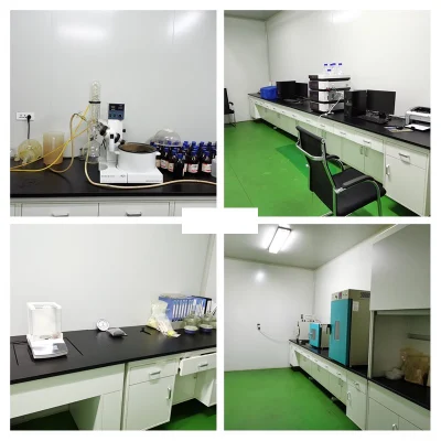 Prune Powder Food and Beverage Additives Pure Prune Fruit Extract Powder