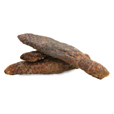100% New High Quality Cistanche Extract Powder/ Cistanche Tubulosa Deserticola Extract Powder Factory Wholesale