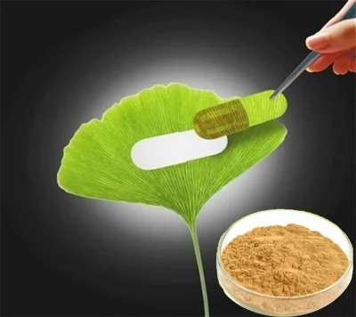 Natural Plant Extract Ginkgo Biloba Extract Powder Ginkgo Biloba Extract