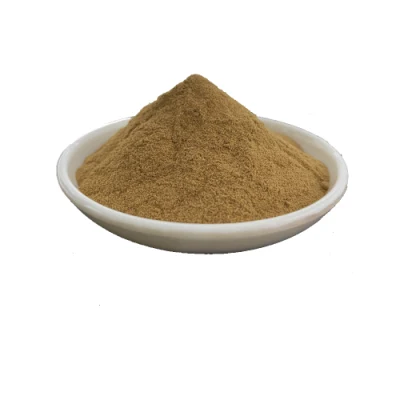 Astragalus Root Extract Powder 83207-58-3 Astragaloside a 5% to 98%