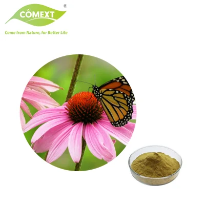 Comext Natural Cichoric Acid 1% 4% Echinacea Purpurea Extract Cichoric Acid
