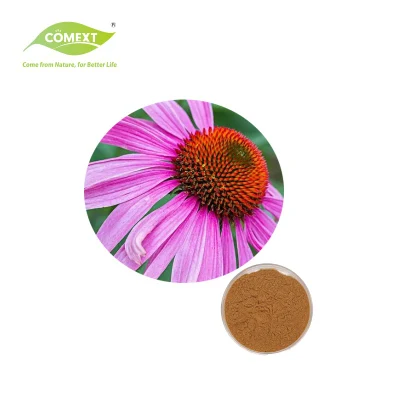 Comext High Purity Factory Direct Supply Echinacea Purpurea Extract Powder 10%-40% Echinacoside for Supplement