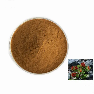 Organic Rhodiola Rosea Extract 1% Salidroside 3% Rosavin Powder
