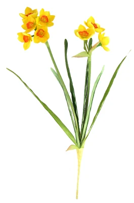 High Quality Artificial Narcissus 49CMH Silk Narcissus 2 Stems Real Touch Leaf Decorative Narcissus Indoor Silk Flower