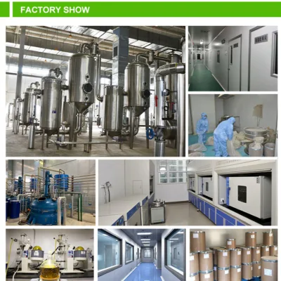 Comext High Purity Factory Direct Supply Echinacea Purpurea Extract Powder 10%-40% Echinacoside for Supplement