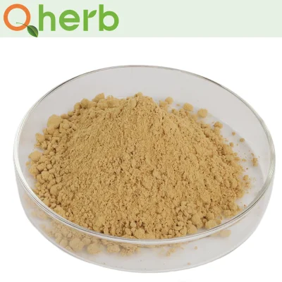 Ziziphus Jujuba Extract Jujuboside a &amp; B HPLC 0.2% HPLC