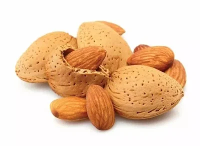 Raw Apricot Seeds/Apricot Kernels for Sale Sweet and Bitter Apricot