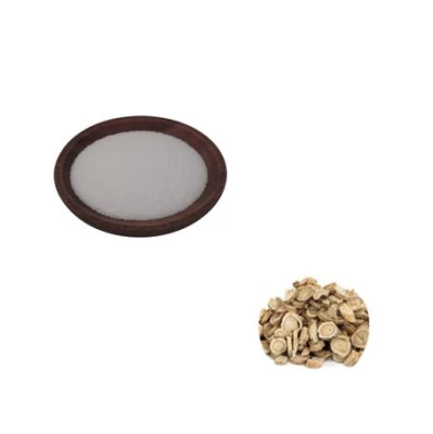 Wholesale Price China Top Astragalus Root Extract Powder 98% Cycloastragenol